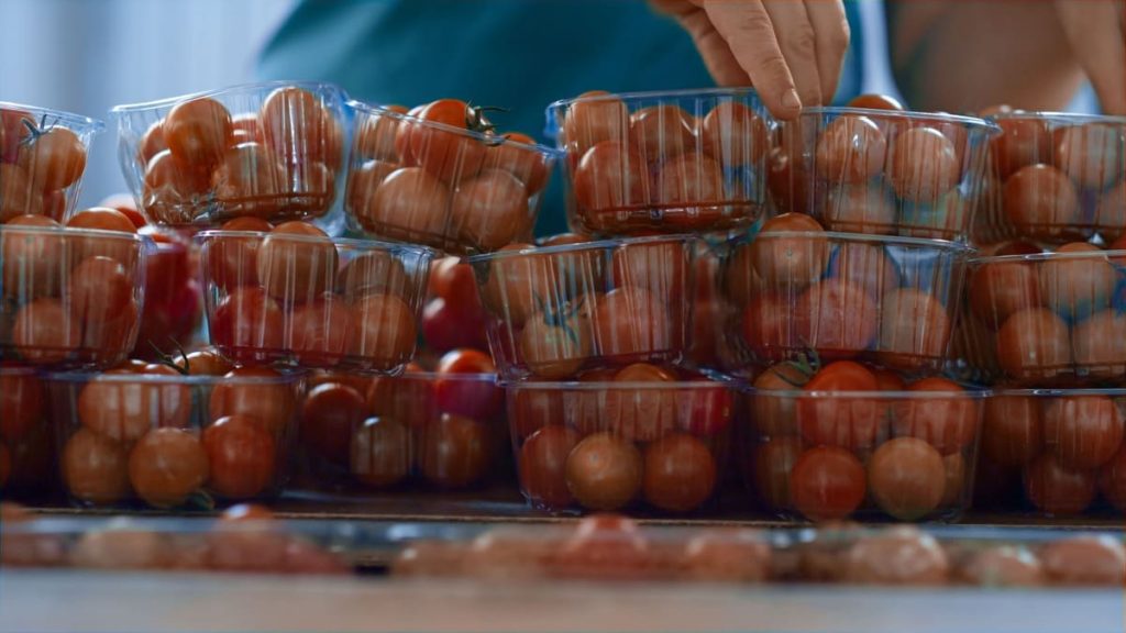 logística de alimentos