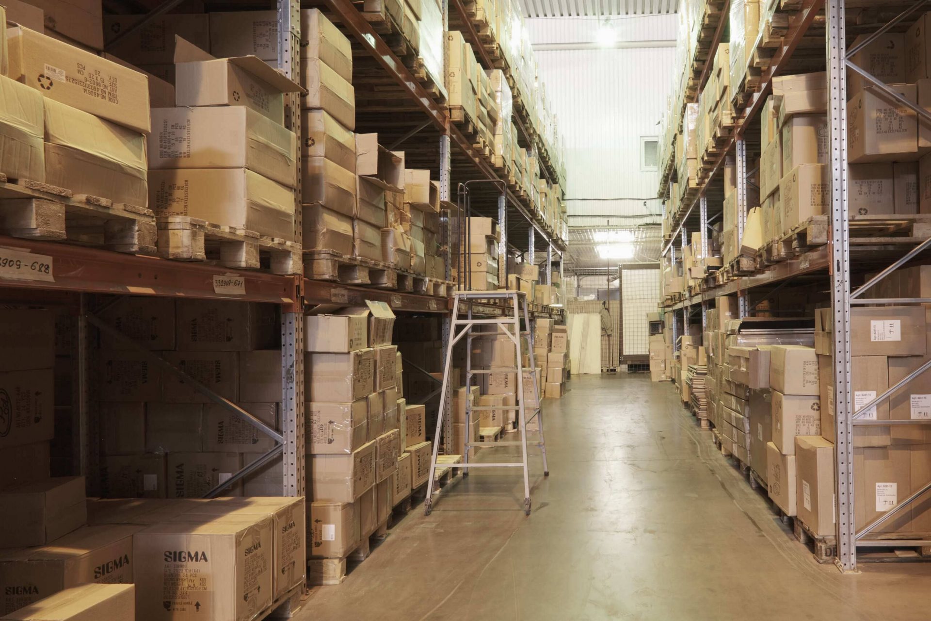 alamacen logistico por dentro